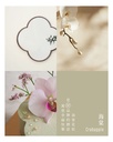 Zen garden 靜庭