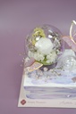 【Summer Special】Let's Dream