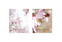 SP Customized Gift Card
