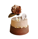 Cocoa Flower