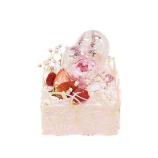 Dream Garden
